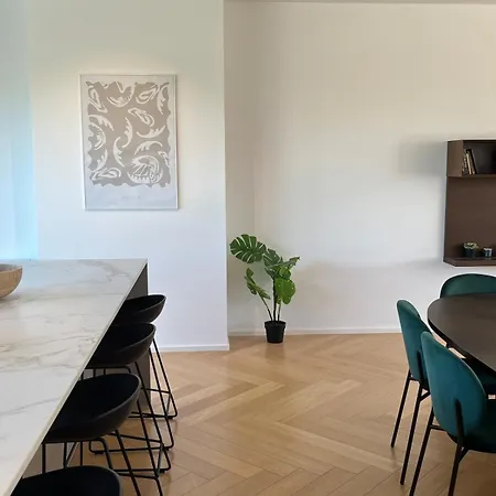 Luxury Penthouse Apartment In The City Centre Apartment